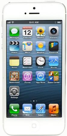 Смартфон Apple iPhone 5 32Gb White & Silver - Новочебоксарск