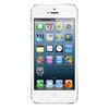 Apple iPhone 5 32Gb white - Новочебоксарск