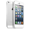 Apple iPhone 5 64Gb white - Новочебоксарск